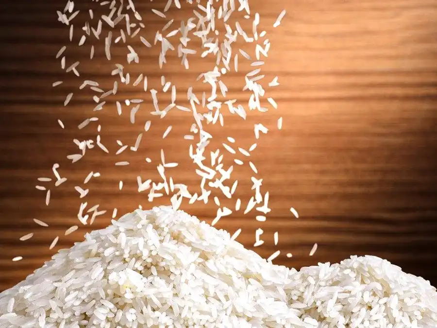 ما هي انواع الرز