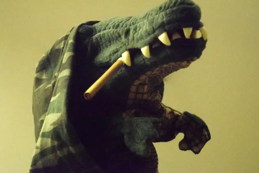 فناة التمساح