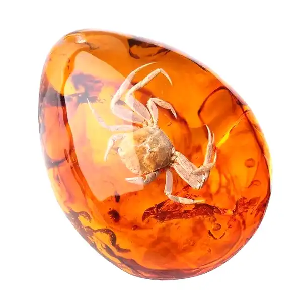 معلومات عن احجار الكهرمان