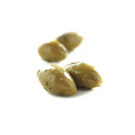 انواع مختلفة من الزيتون